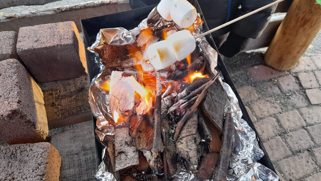 7. nóvember 2020 Fálkaskátadagurinn