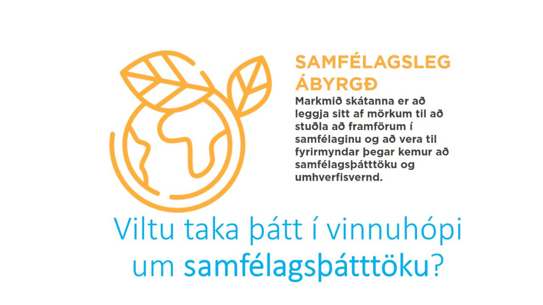 samfélagsleg verkefni vinnuhópur